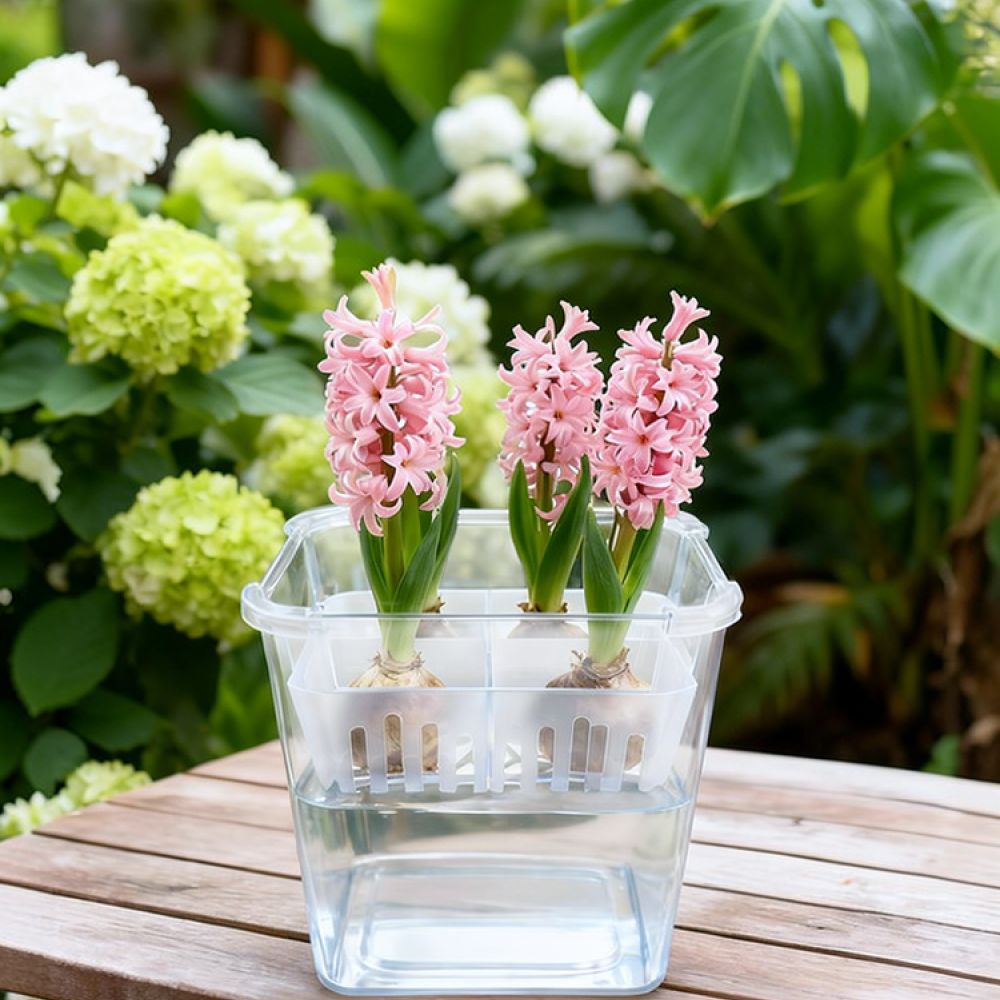 Гидропонная ваза для тюльпанов – обзор и цена Vase Decor