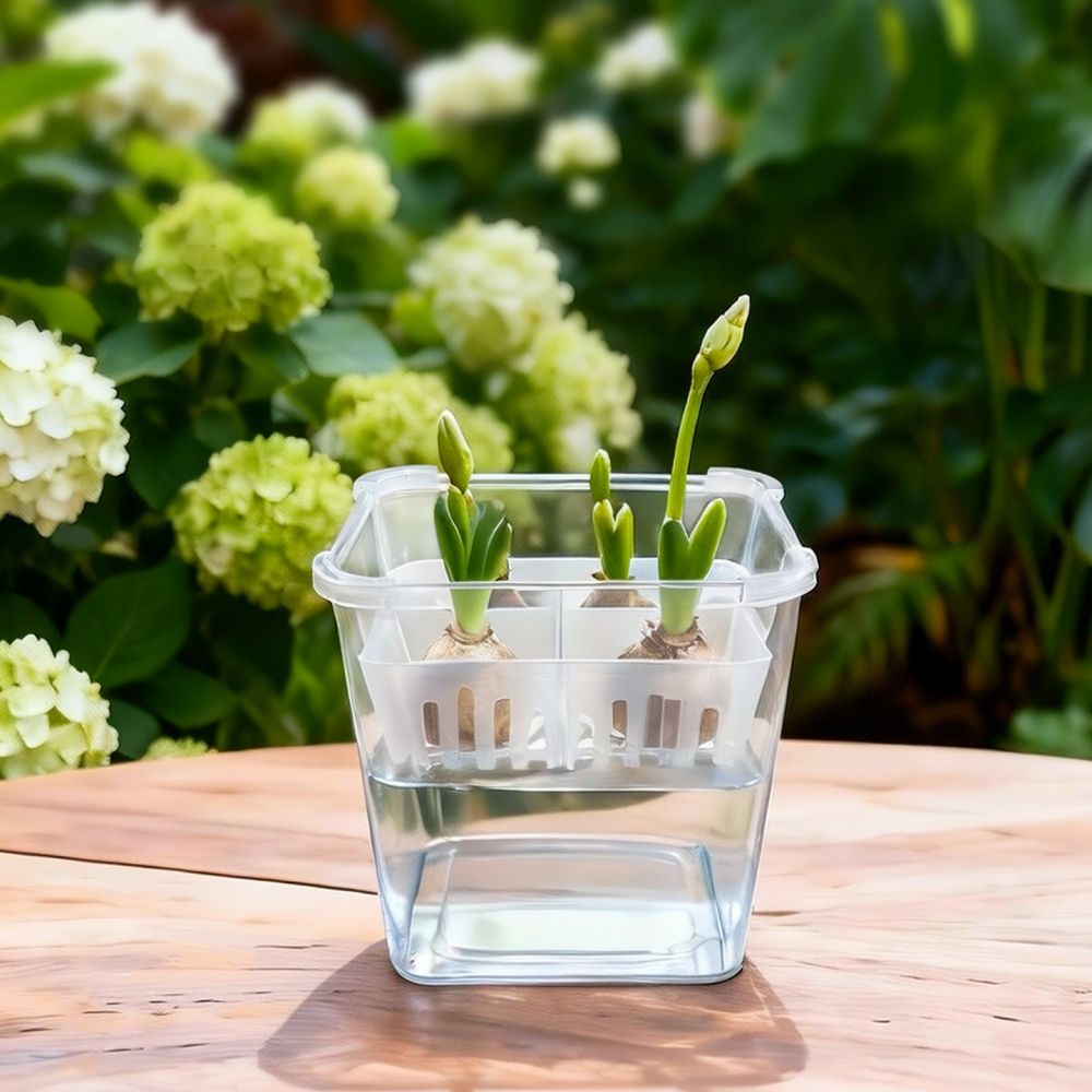 Гидропонная ваза для тюльпанов – обзор и цена Vase Decor