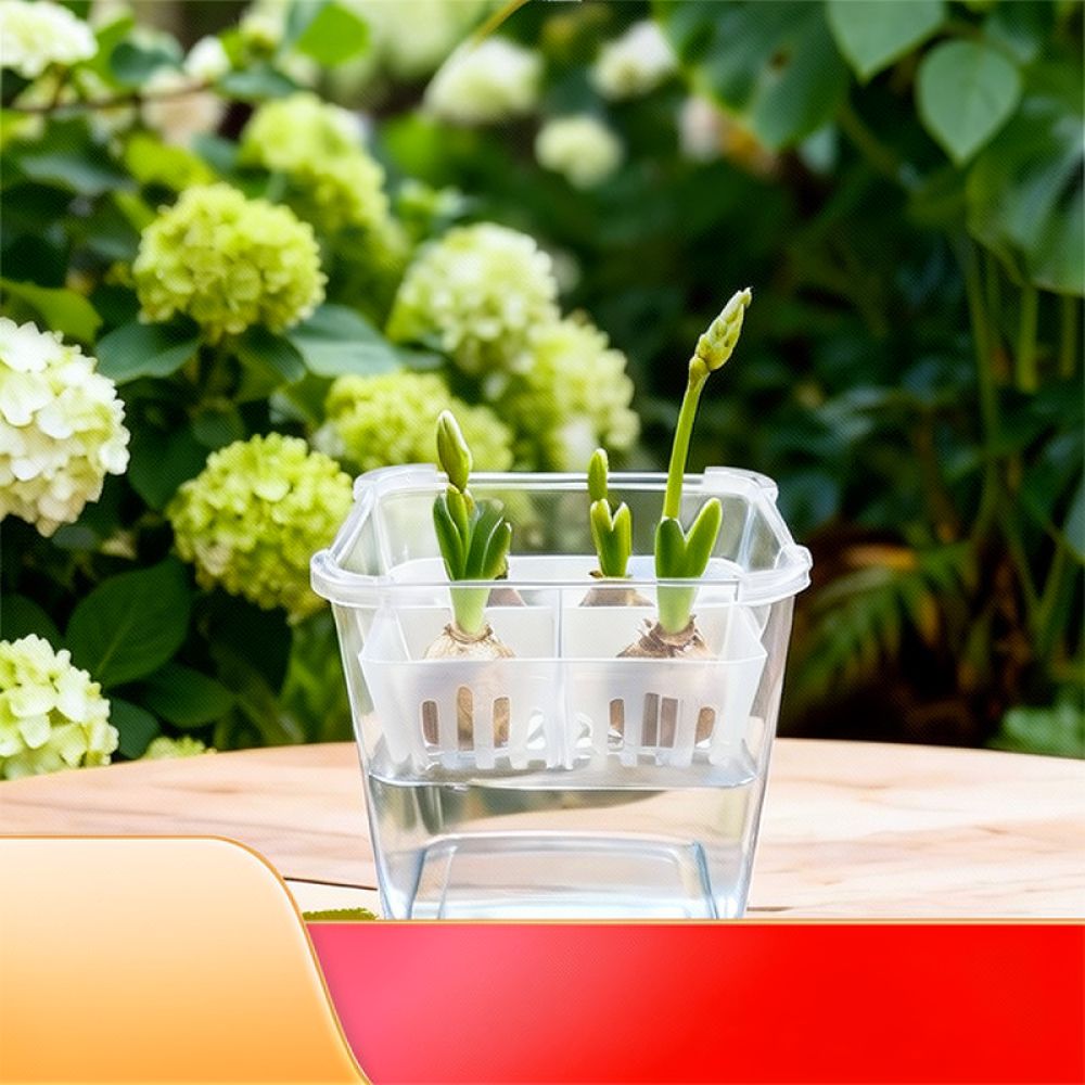 Гидропонная ваза для тюльпанов – обзор и цена Vase Decor